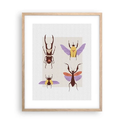 Een poster in een licht eiken lijst - Insectenwereld - 40x50 cm