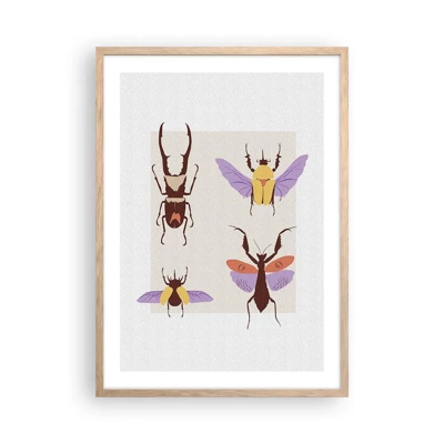 Een poster in een licht eiken lijst - Insectenwereld - 50x70 cm