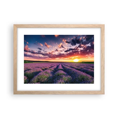 Een poster in een licht eiken lijst - Lavendel wereld - 40x30 cm