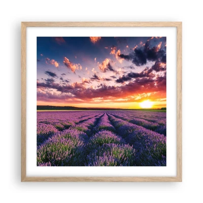 Een poster in een licht eiken lijst - Lavendel wereld - 50x50 cm