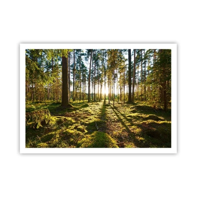 Poster - … Achter de zeven bossen - 100x70 cm