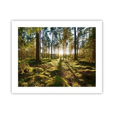 Poster - … Achter de zeven bossen - 50x40 cm