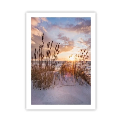 Poster - Afscheid van de zon en de wind - 50x70 cm