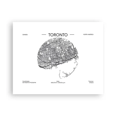 Poster - Anatomie van Toronto - 50x40 cm