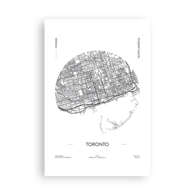 Poster - Anatomie van Toronto - 61x91 cm