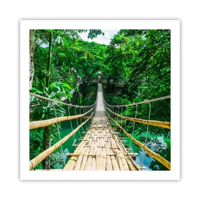 Poster - Apenbrug over de green - 60x60 cm