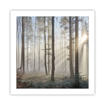 Poster - De mist werd ook wakker - 50x50 cm