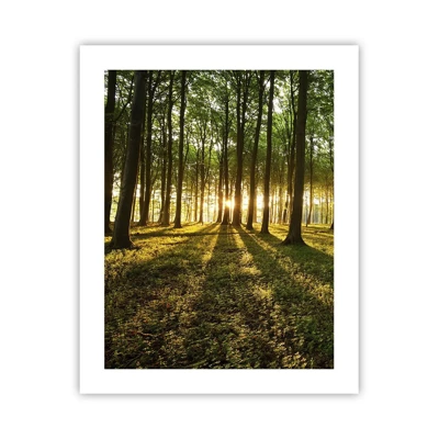 Poster - Foto van de hele lente - 40x50 cm