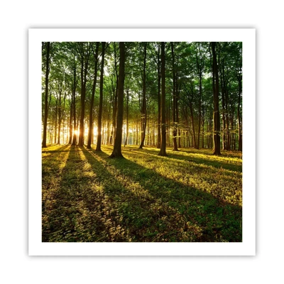 Poster - Foto van de hele lente - 60x60 cm