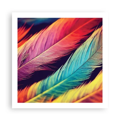 Poster - Gevederde regenboog - 60x60 cm