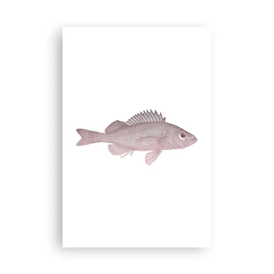 Poster - Grote ogen vis - 61x91 cm