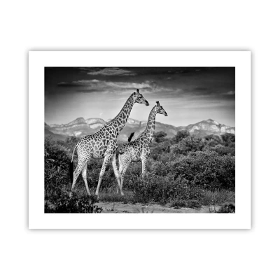 Poster - Hoge sferen in Afrika - 50x40 cm