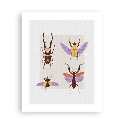 Poster - Insectenwereld - 40x50 cm