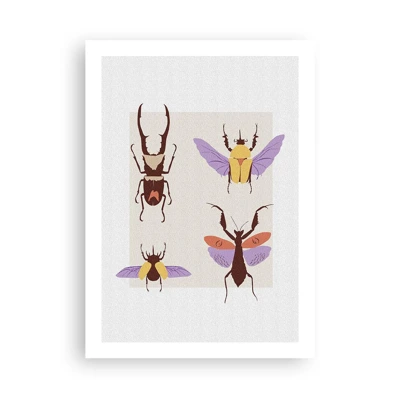 Poster - Insectenwereld - 50x70 cm
