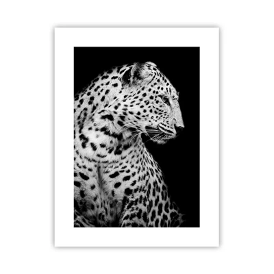 Poster - Juist profiel perfect! - 30x40 cm