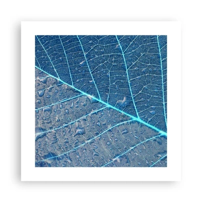 Poster - Leven in blauw - 40x40 cm