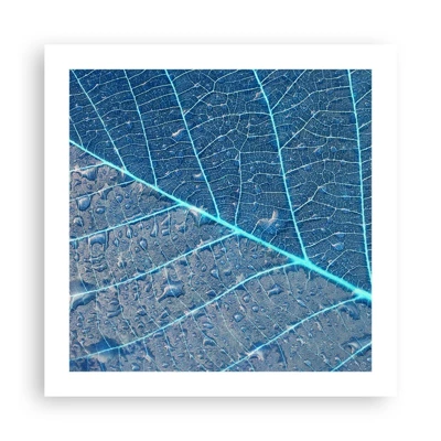 Poster - Leven in blauw - 50x50 cm