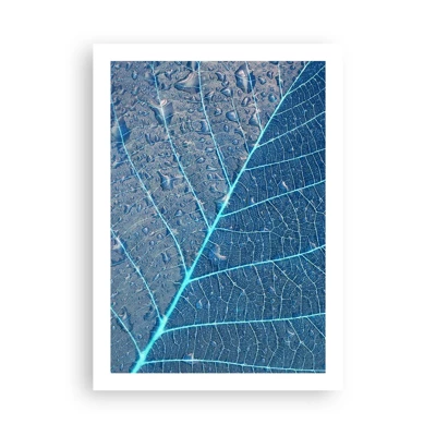 Poster - Leven in blauw - 50x70 cm