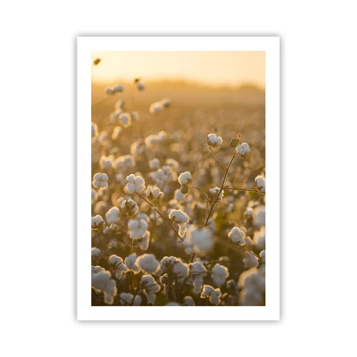 Poster - Pluizig veld - 50x70 cm