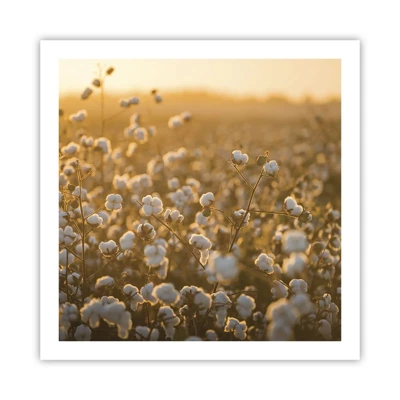 Poster - Pluizig veld - 60x60 cm