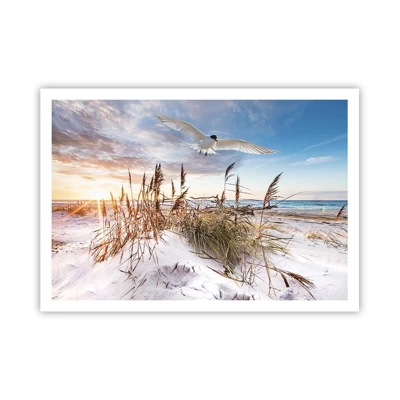 Poster - Wind uit zee - 100x70 cm