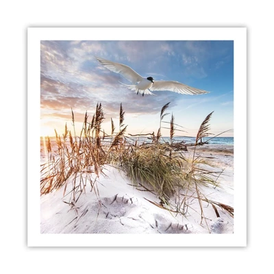 Poster - Wind uit zee - 60x60 cm