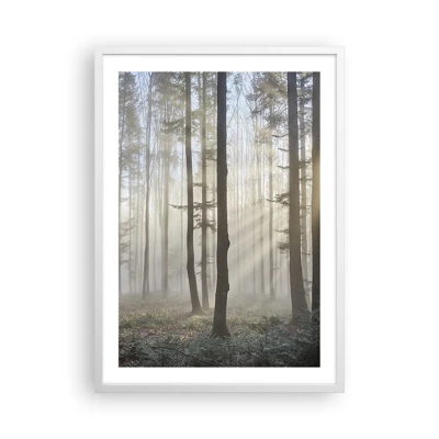 Poster in een witte lijst - De mist werd ook wakker - 50x70 cm