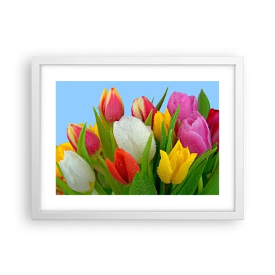 Poster in een witte lijst - Een bloemenregenboog in dauwdruppels - 40x30 cm