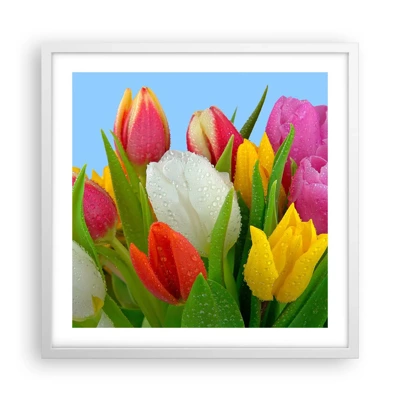 Poster in een witte lijst - Een bloemenregenboog in dauwdruppels - 50x50 cm