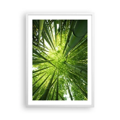 Poster in een witte lijst - In een bamboebos - 50x70 cm