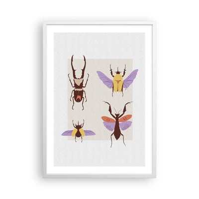 Poster in een witte lijst - Insectenwereld - 50x70 cm