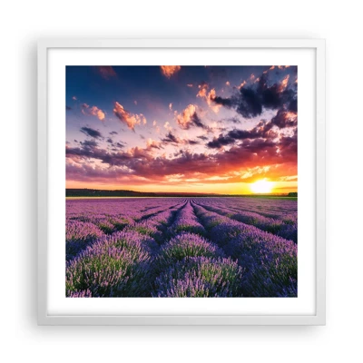 Poster in een witte lijst - Lavendel wereld - 50x50 cm