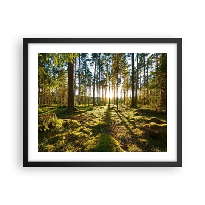 Poster in een zwarte lijst - … Achter de zeven bossen - 50x40 cm