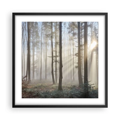 Poster in een zwarte lijst - De mist werd ook wakker - 50x50 cm