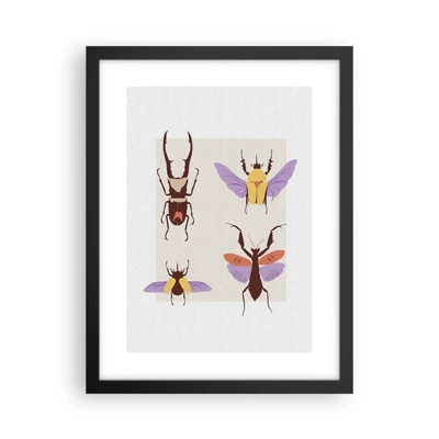 Poster in een zwarte lijst - Insectenwereld - 30x40 cm