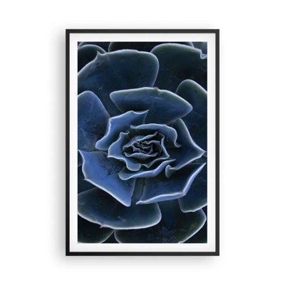 Poster in een zwarte lijst - Woestijn bloem - 61x91 cm