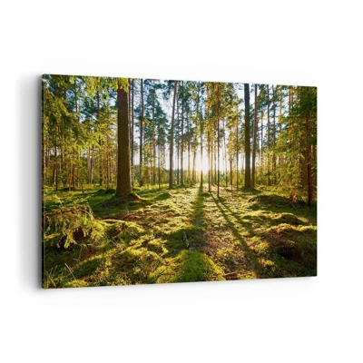 Schilderen op canvas - … Achter de zeven bossen - 120x80 cm