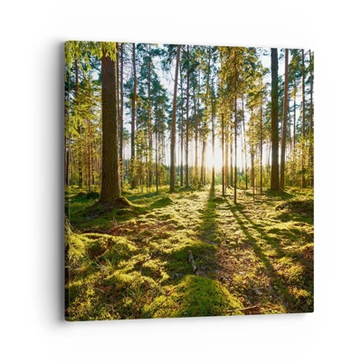 Schilderen op canvas - … Achter de zeven bossen - 40x40 cm