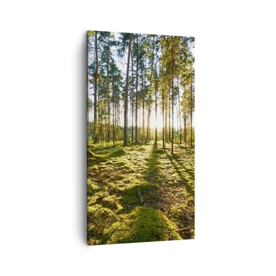 Schilderen op canvas - … Achter de zeven bossen - 45x80 cm