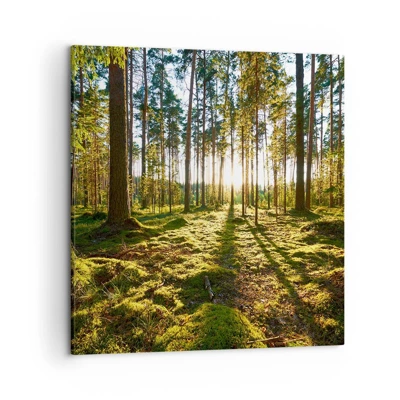 Schilderen op canvas - … Achter de zeven bossen - 50x50 cm