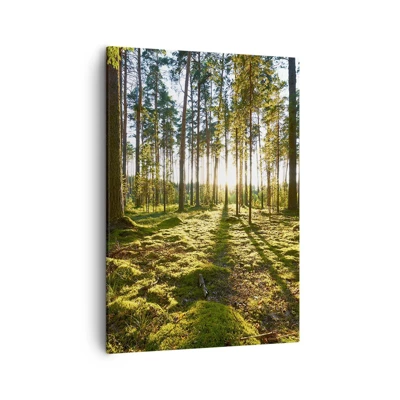 Schilderen op canvas - … Achter de zeven bossen - 50x70 cm