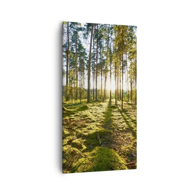 Schilderen op canvas - … Achter de zeven bossen - 55x100 cm