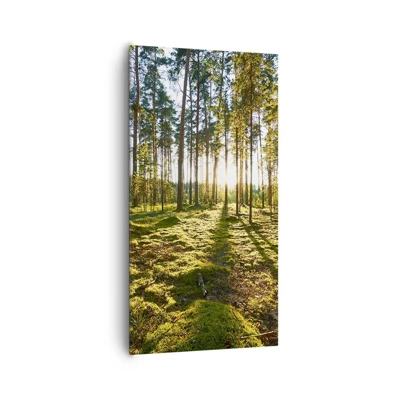 Schilderen op canvas - … Achter de zeven bossen - 65x120 cm