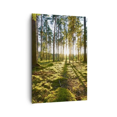 Schilderen op canvas - … Achter de zeven bossen - 70x100 cm