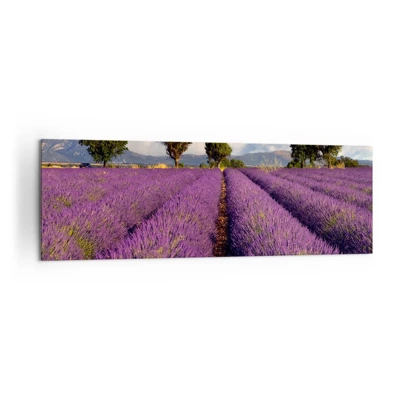 Schilderen op canvas - Lavendel velden - 160x50 cm