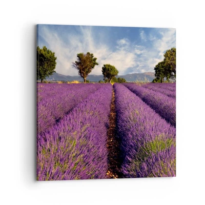 Schilderen op canvas - Lavendel velden - 70x70 cm