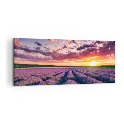 Schilderen op canvas - Lavendel wereld - 100x40 cm