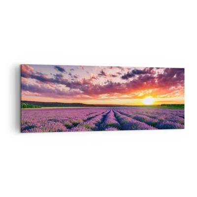 Schilderen op canvas - Lavendel wereld - 140x50 cm