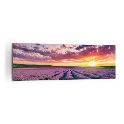 Schilderen op canvas - Lavendel wereld - 160x50 cm