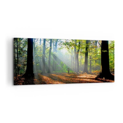 Schilderen op canvas - Lichten en schaduwen - 100x40 cm